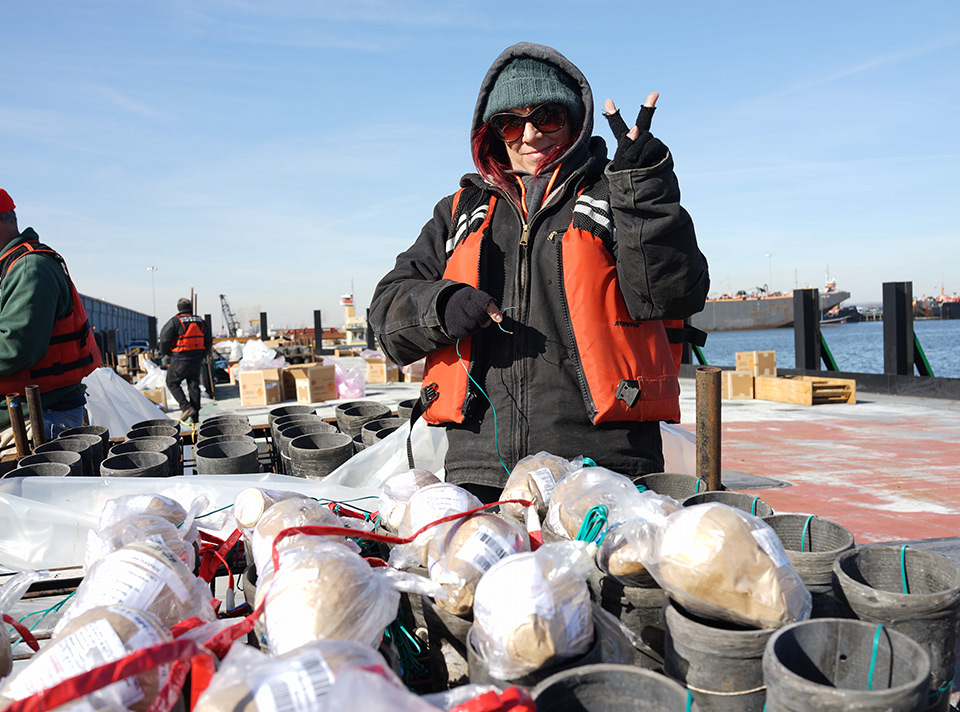 紐約春節焰火《金雞報曉?鳳凰來(lái)儀》